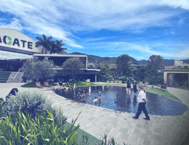 Nexxera marca presença no Fintech Trends 2025 com palestra de seu fundador, Edson Silva